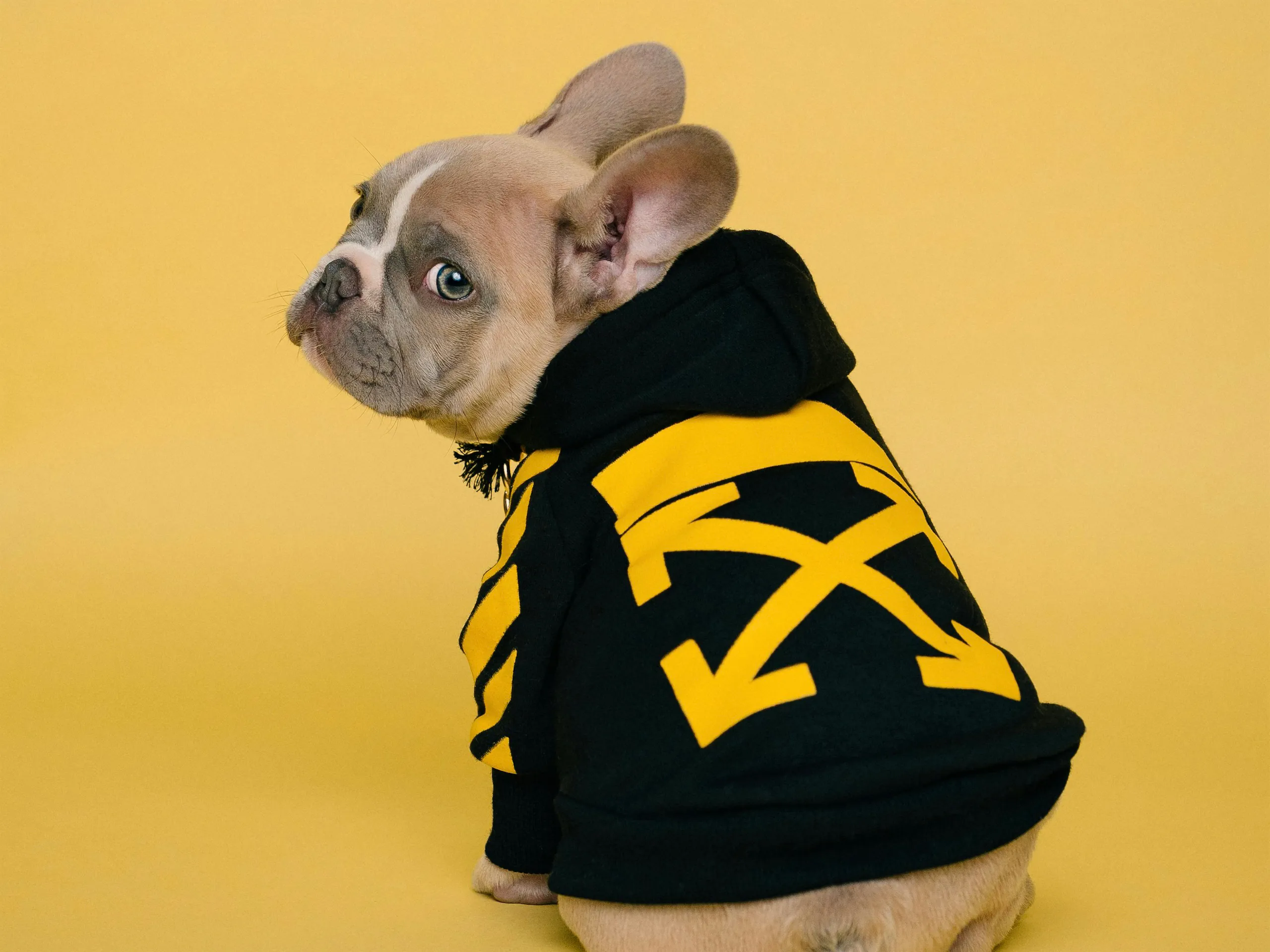 Developing 3D Web Apps with Three.js